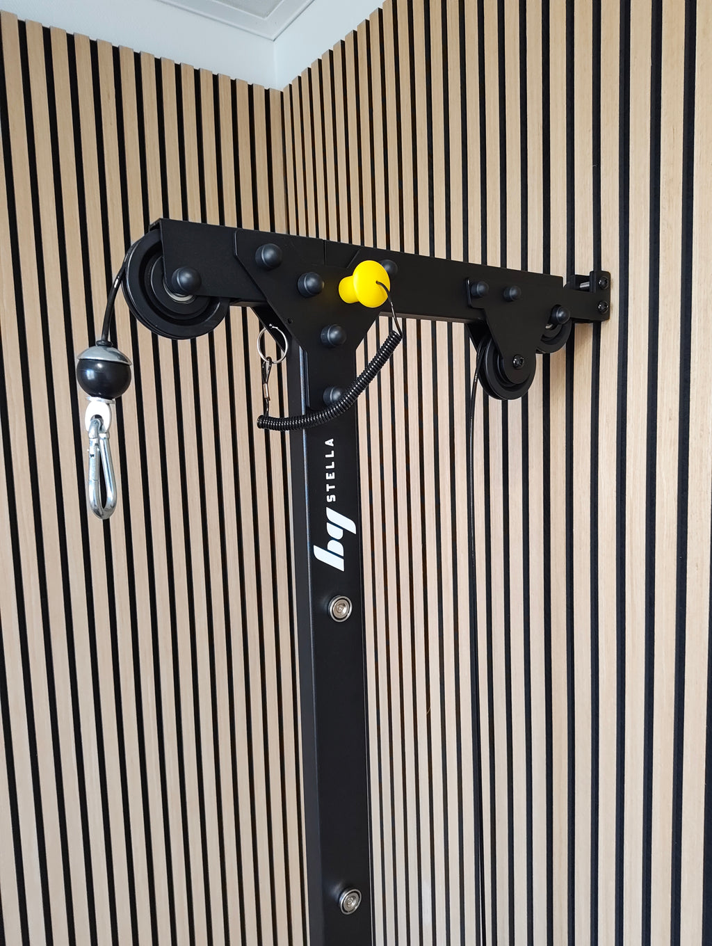 CableRig 5 – väggmonterad kabelmaskin med viktband och viktplattor